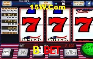 Bonus Features B1Bet